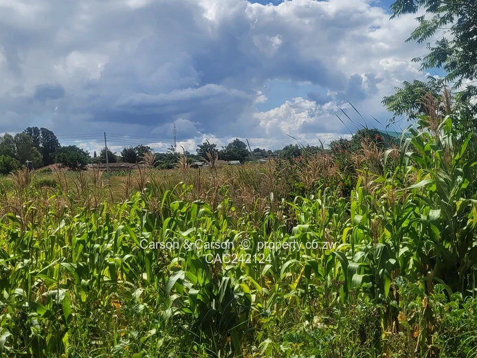 Prime, well established and mature suburb of Chadcombe with massive invetment potential