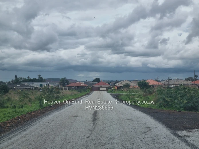 Beautiful stands for sale 