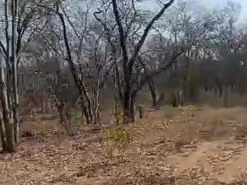 Farm & Agricultural Land