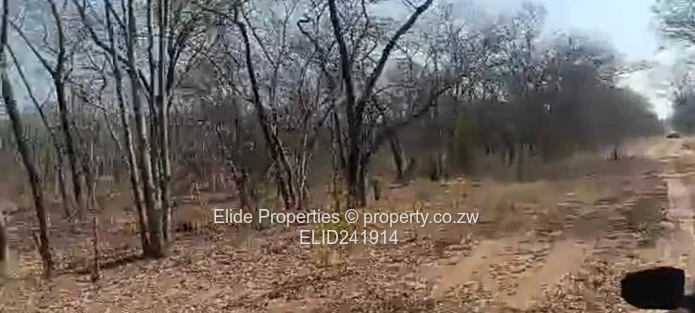 1,130ha Gokwe Farm — Gravel Roads, Grazing & Kraal (Sole Mandate)