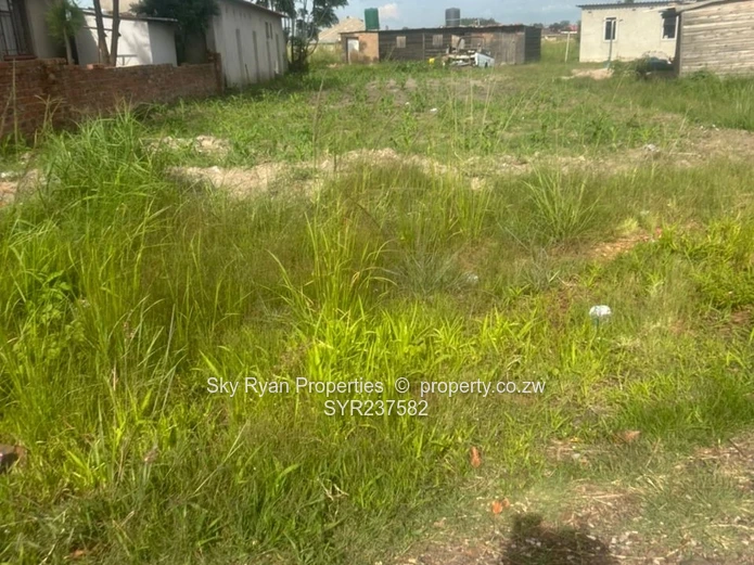 Msasa Park Chardcombe for sale 