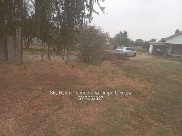 Meyrick Park Property For Sale